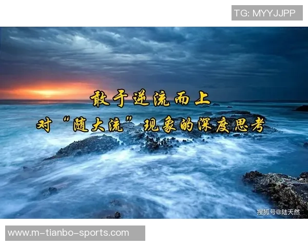 聂卫平谈中国足球发展之路与未来愿景的深度思考与探索