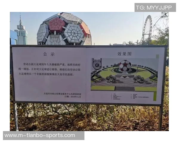 足球场地四周的标志是如何影响比赛进行和观众体验的分析与探讨